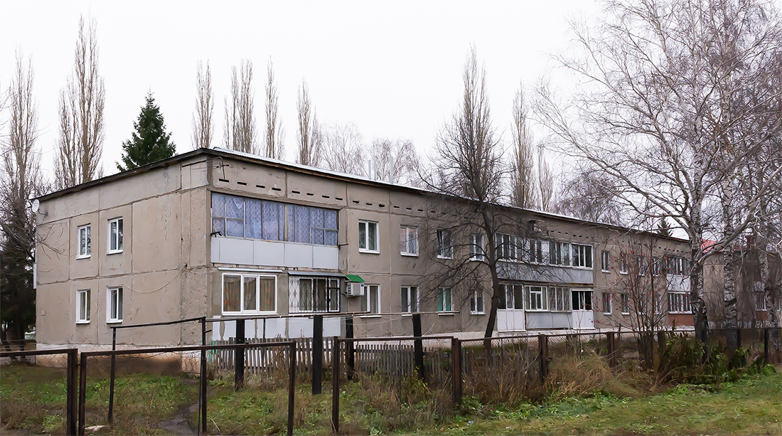 Уфимский район, прочие н.п., с. Алексеевка, Центральная улица, 59