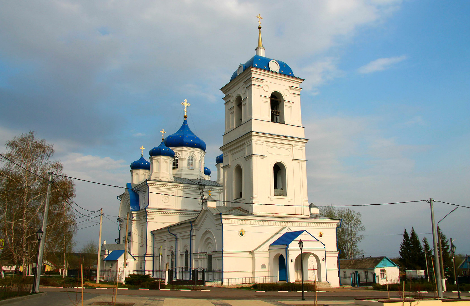 Репьёвский район, прочие н.п., С. Репьёвка, Воронежская улица, 22А