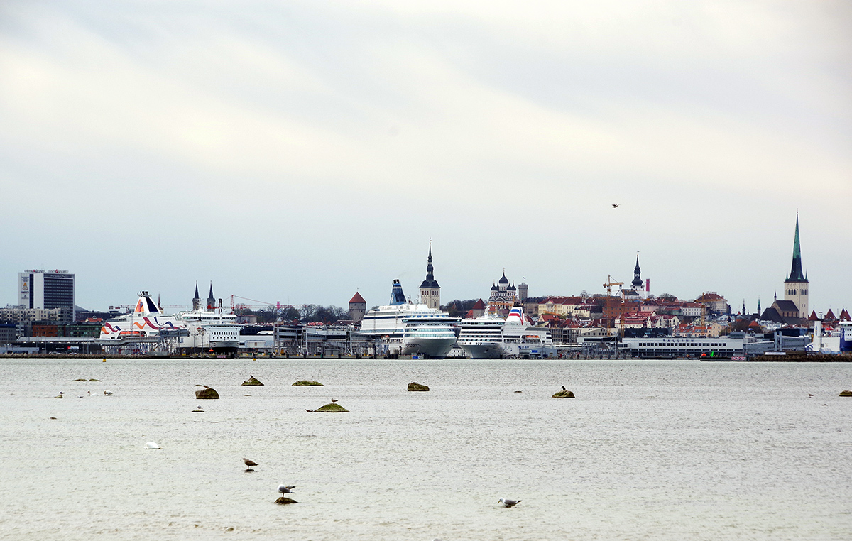 Таллин, Viru Väljak, 4; Komandandi tee, 2; Niguliste, 3; Lossi plats, 10; Pikk Hermann torn; Toom-Kooli, 6; Sadama, 25/2; Lai, 50. Таллин — Панорамы