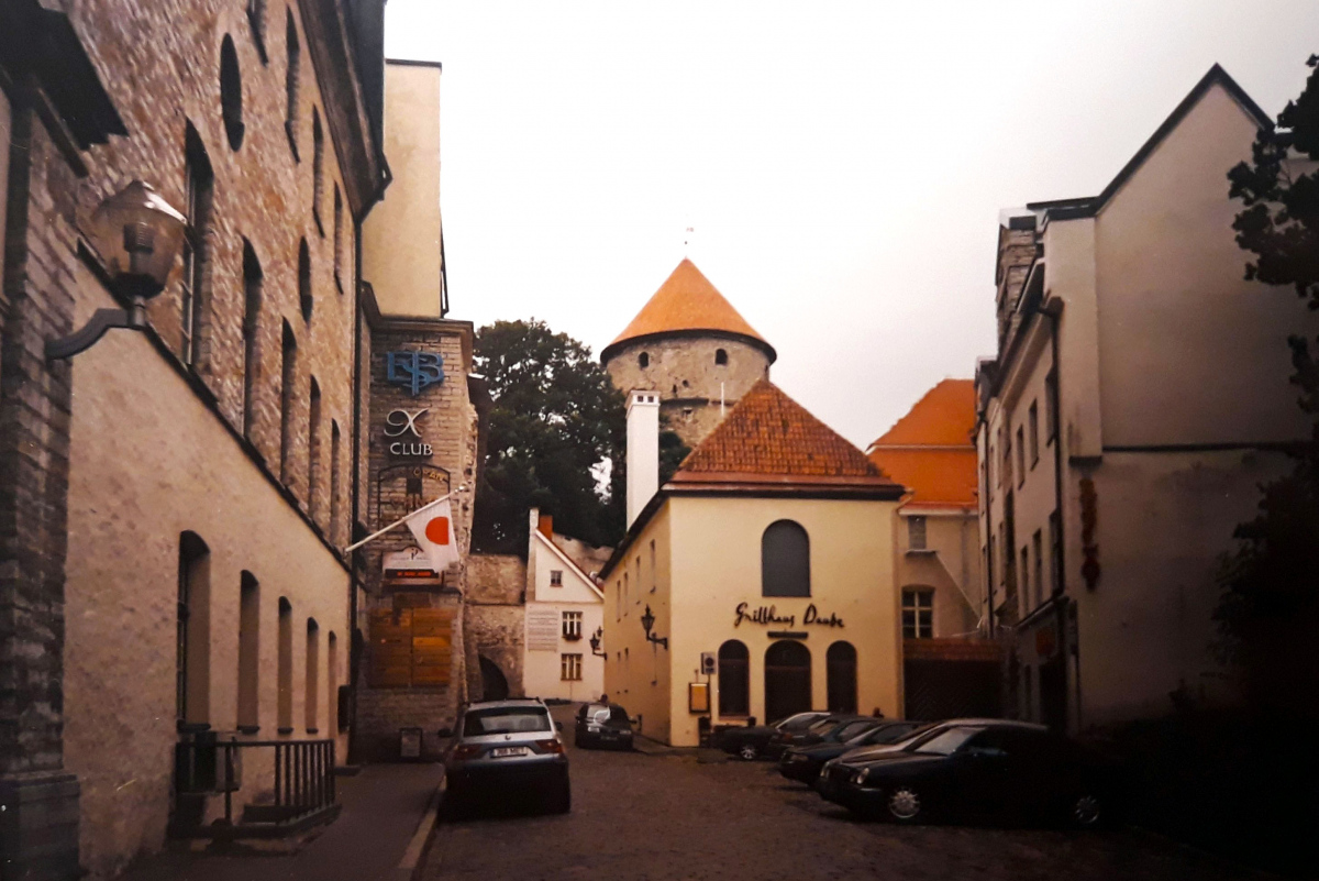 Таллин, Rüütli, 11