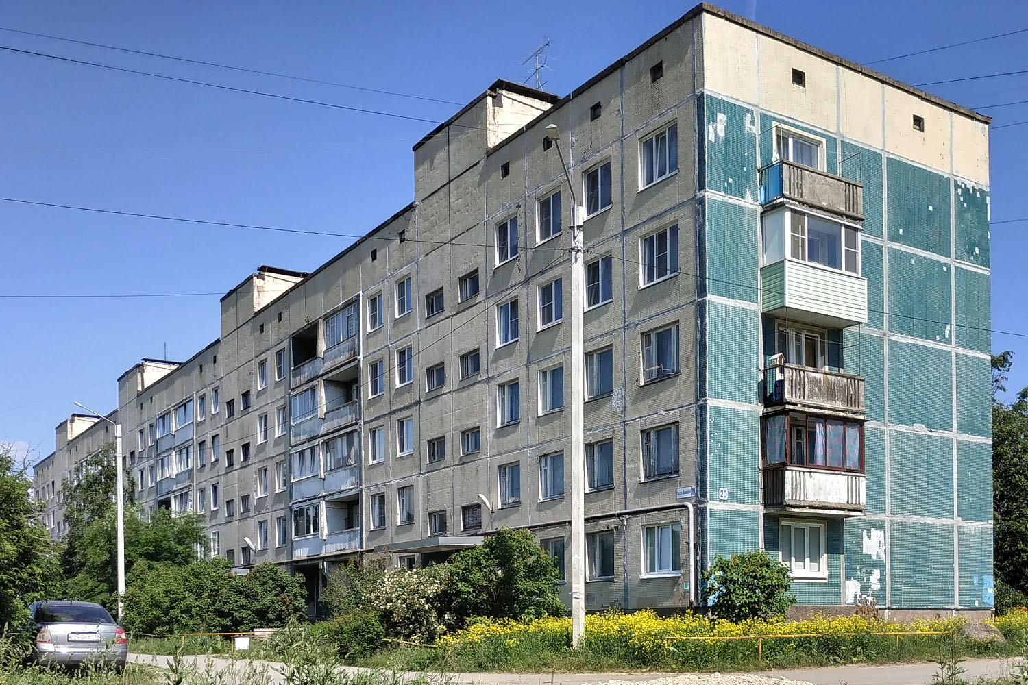 Ломоносовский район, прочие н. п., Русско-Высоцкое, 20