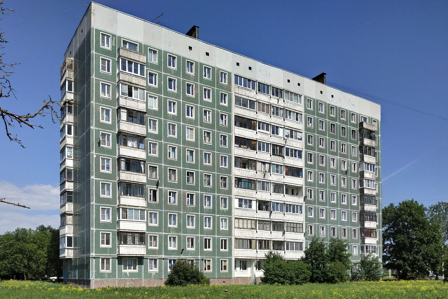 Ломоносовский район, прочие н. п., Русско-Высоцкое, 26