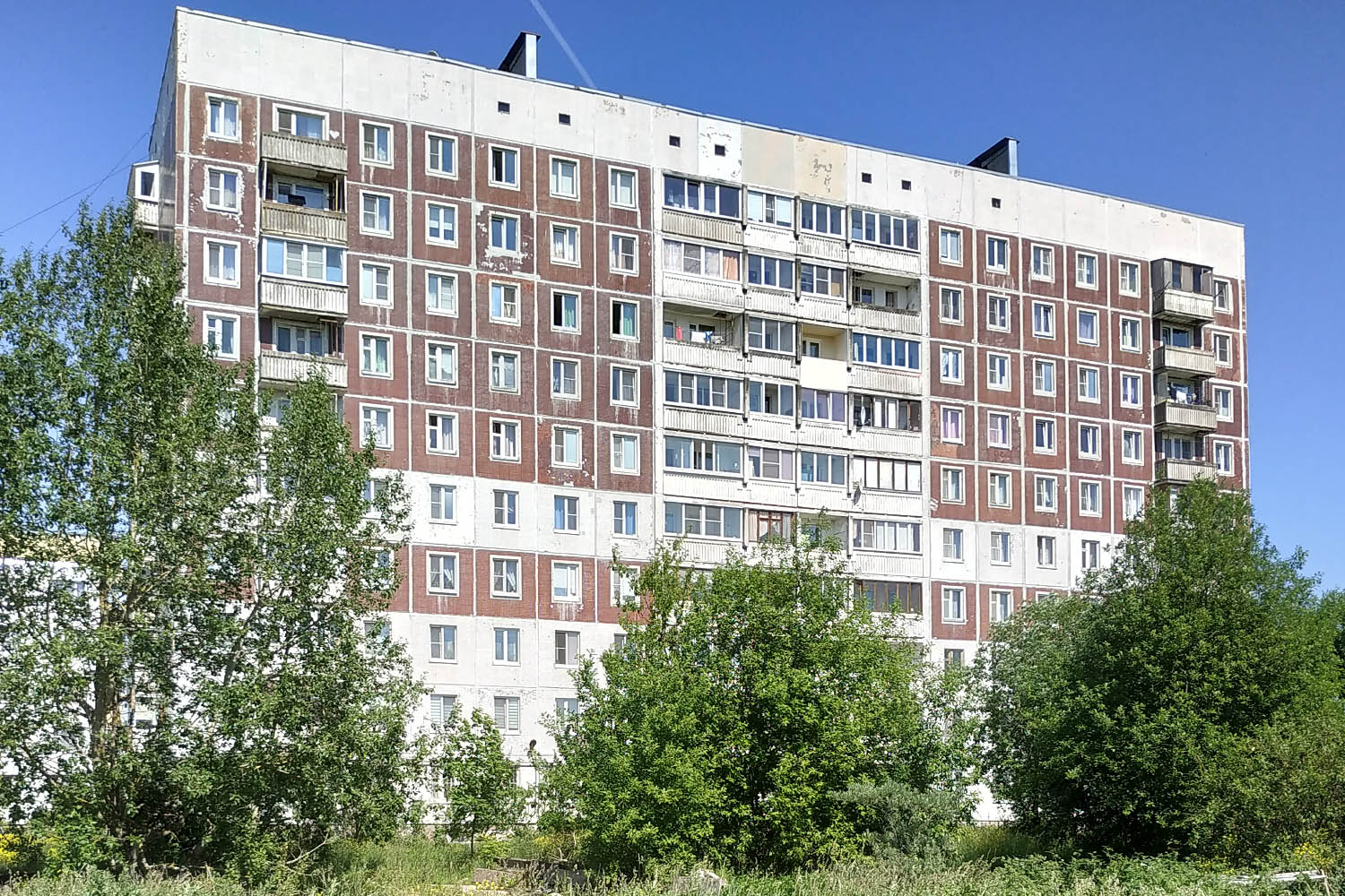 Ломоносовский район, прочие н. п., Русско-Высоцкое, 28