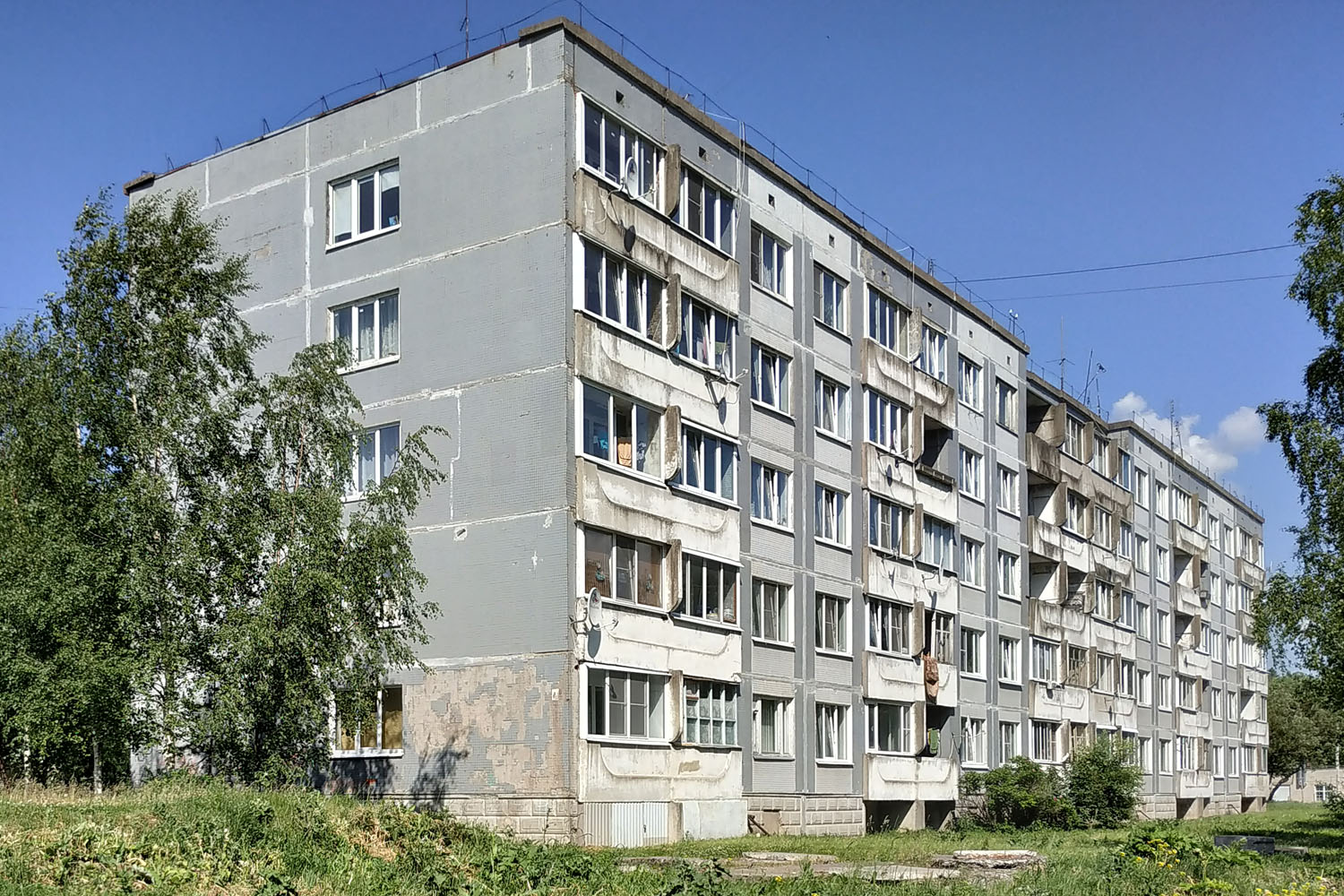 Волосовский район, прочие н. п., Сельцо, 18