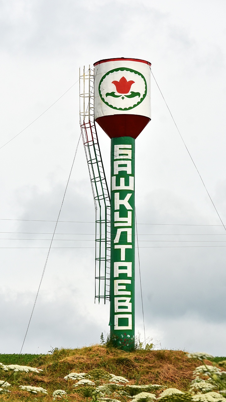 Пермский район, прочие н.п., с. Башкултаево, улица Мавлютова, ?