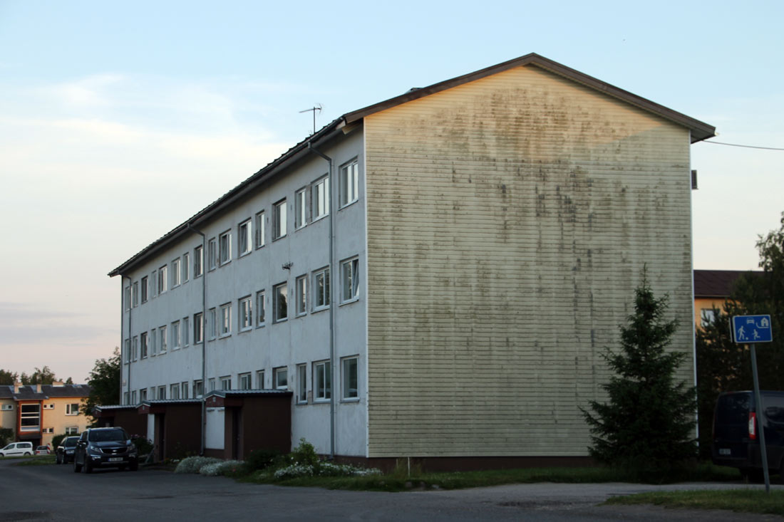 Сауга, Lepalinnu, 4