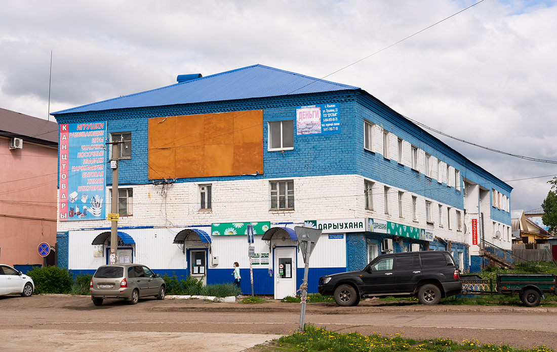 Благоварский район, прочие н.п., с. Языково, улица Пушкина, 20