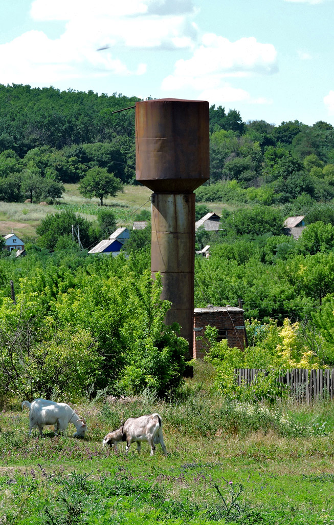 Краматорский район, прочие н.п., с. Богородичное, Школьная улица, 1*
