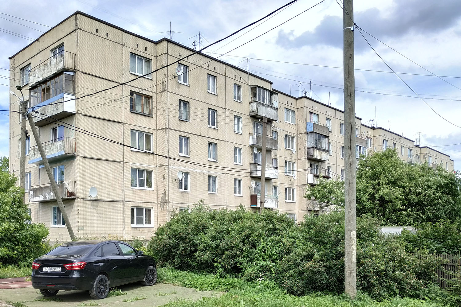 Ломоносовский район, прочие н. п., Яльгелево, 44