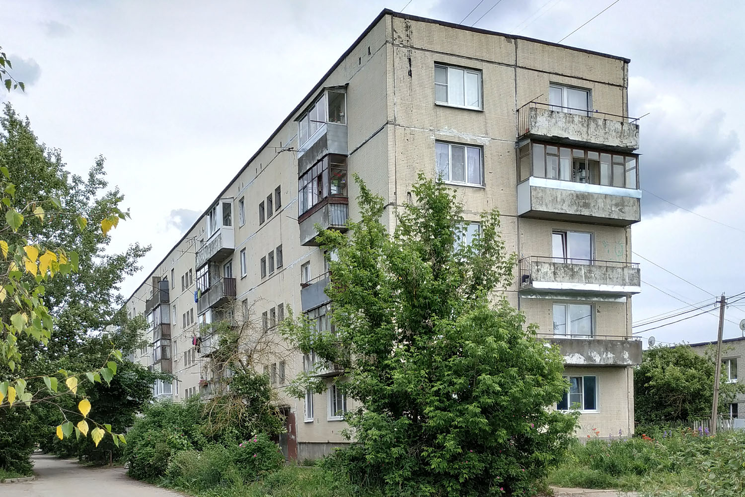 Ломоносовский район, прочие н. п., Яльгелево, 44