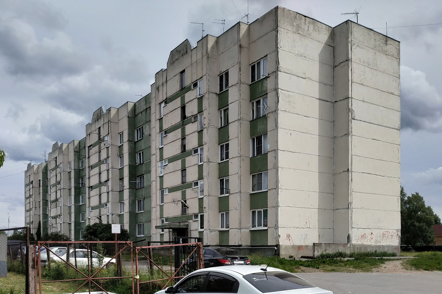 Ломоносовский район, прочие н. п., Яльгелево, 46