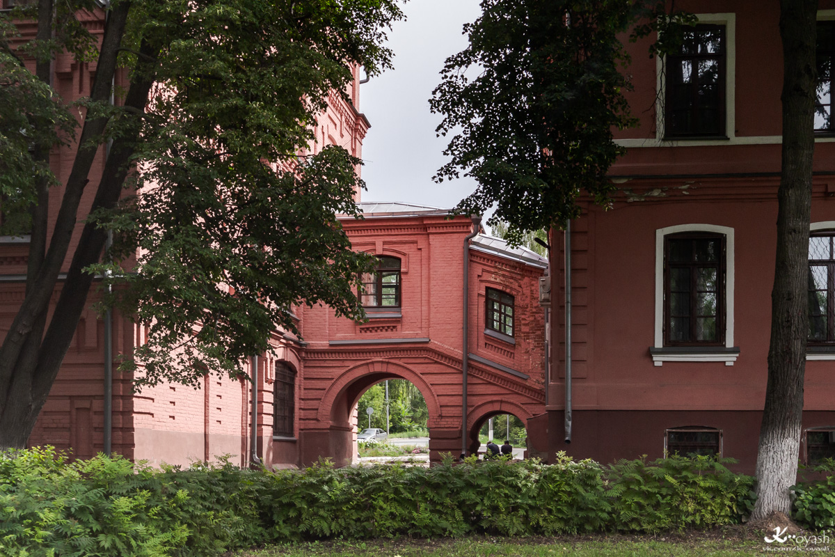 Казань, Ферма-2, 53