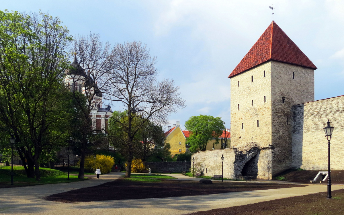 Таллин, Lossi plats, 11