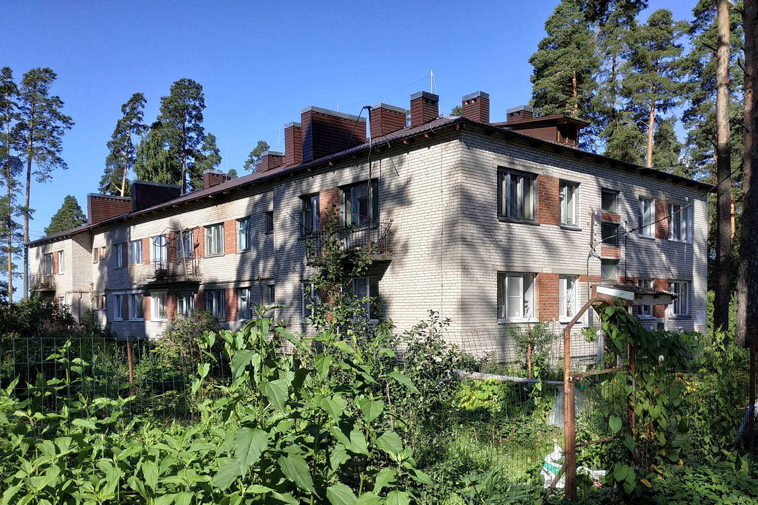Выборгский район, прочие н. п., Возрождение, 27