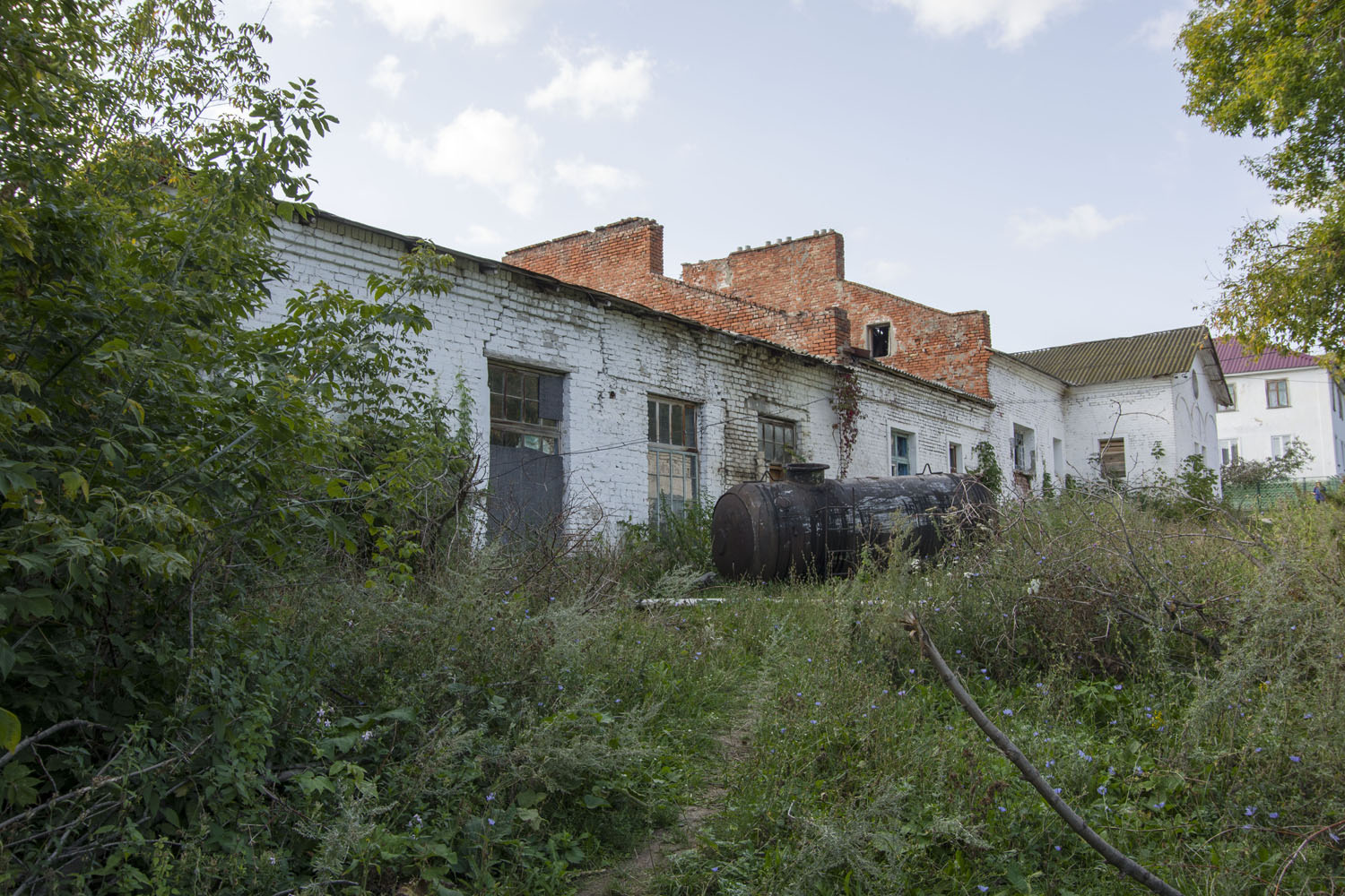 Жигулёвск, С. Солнечная Поляна, 4-я линия, 3
