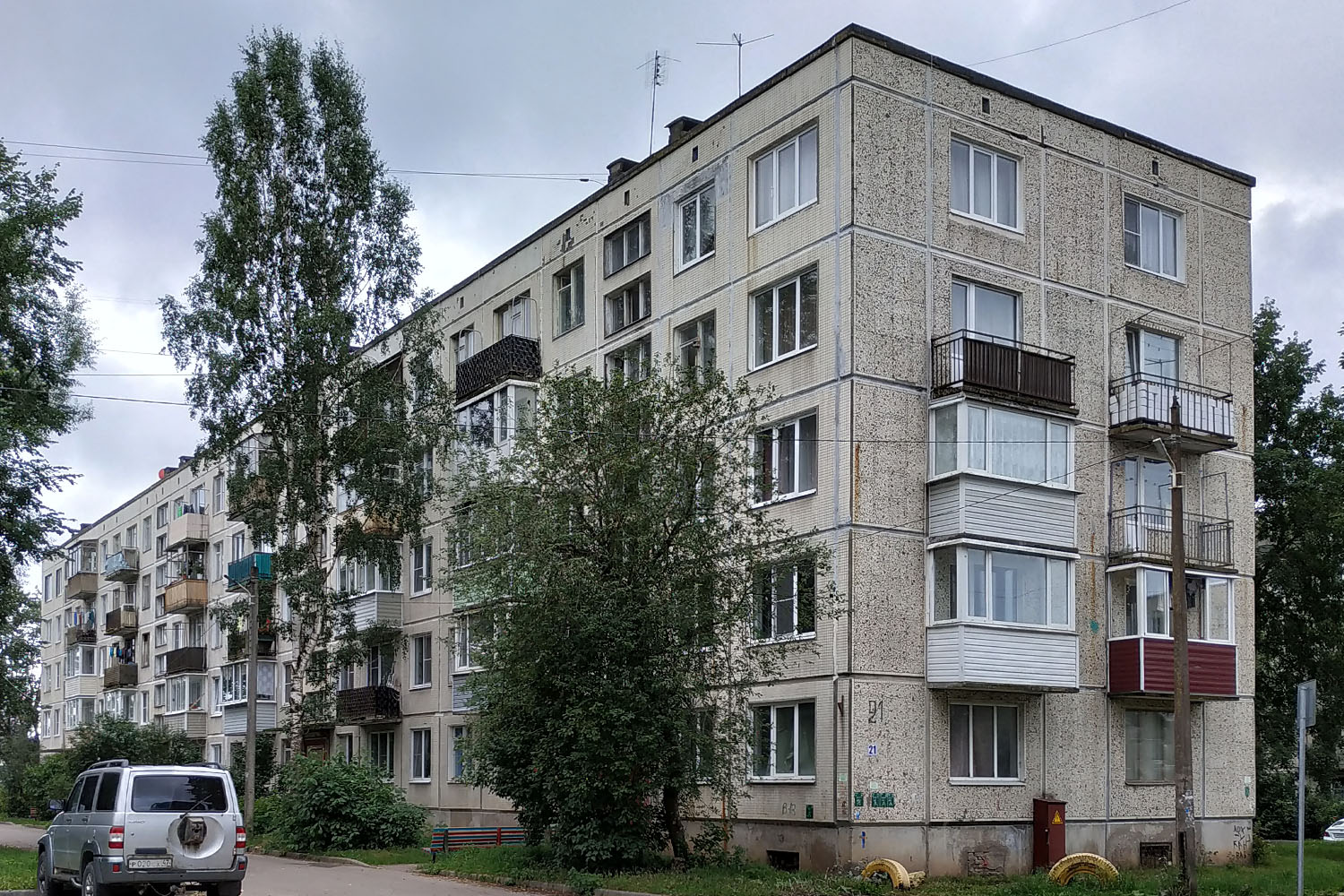 Гатчинский округ, прочие н. п., Батово, 21