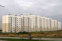 393 КБ