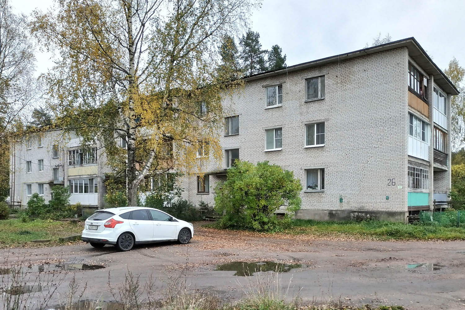 Выборгский район, прочие н. п., Цвелодубово, Центральная улица, 26