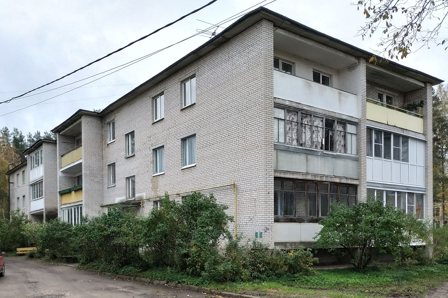 Выборгский район, прочие н. п., Цвелодубово, Центральная улица, 28