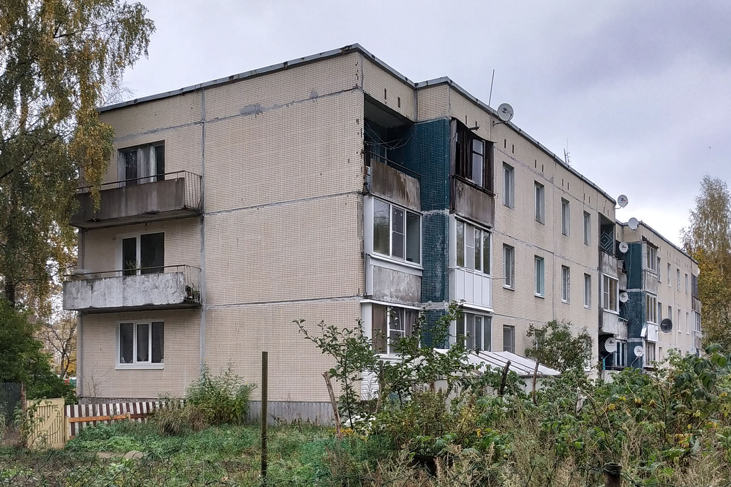 Выборгский район, прочие н. п., Цвелодубово, Центральная улица, 30