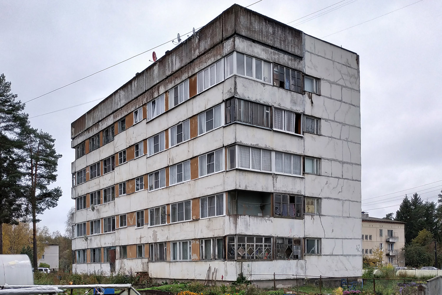 Выборгский район, прочие н. п., Цвелодубово, Центральная улица, 42 Выборгский район, прочие н. п., Цвелодубово, Центральная улица, 42