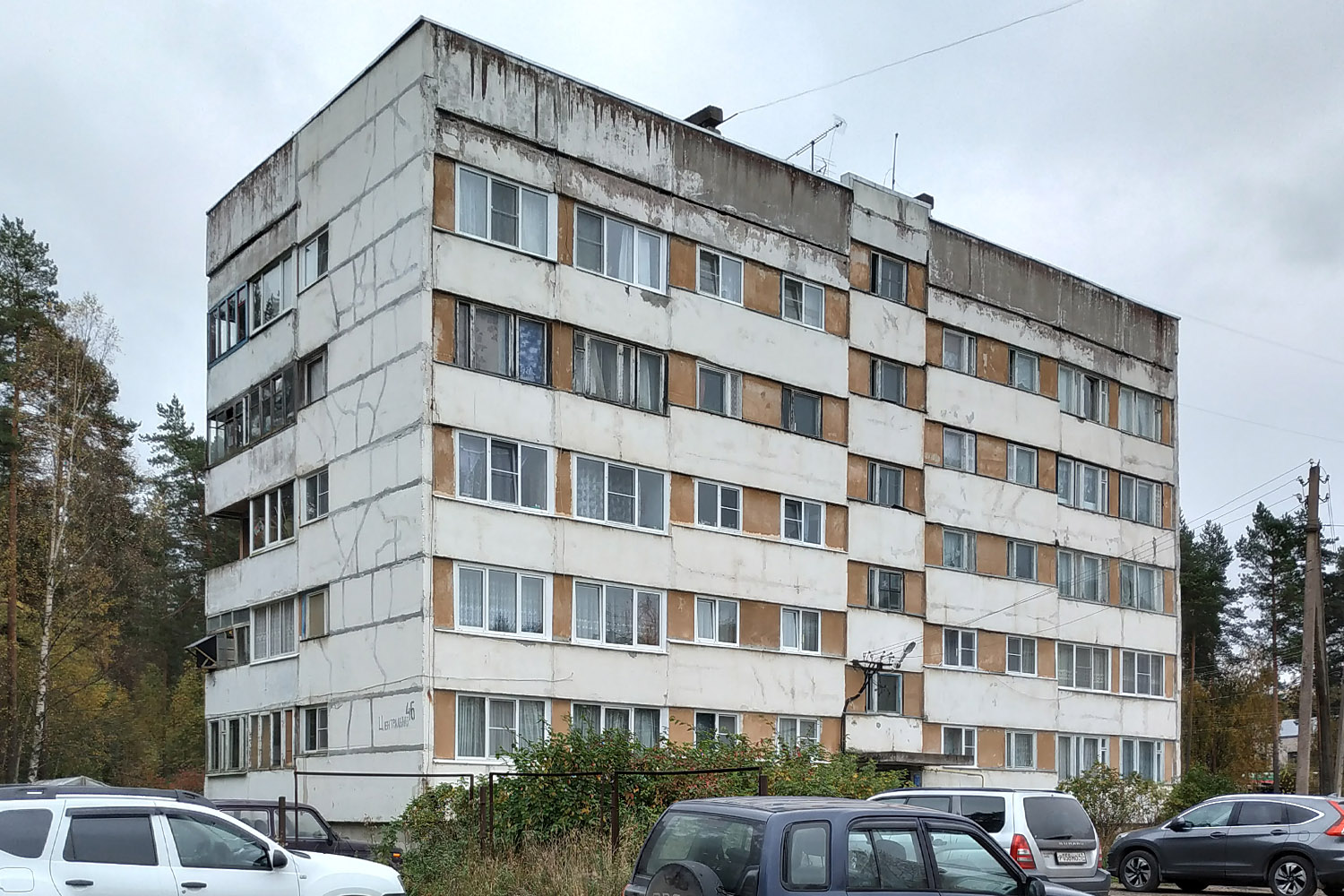 Выборгский район, прочие н. п., Цвелодубово, Центральная улица, 46
