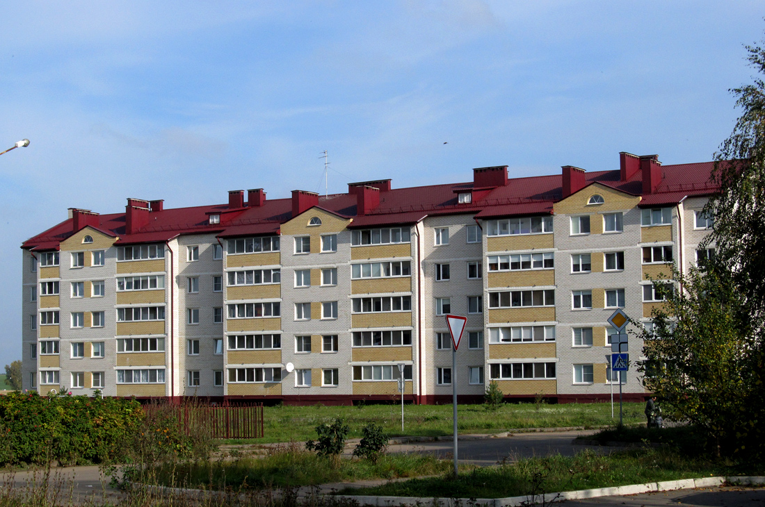 Михановичи, Магистральная улица, 5