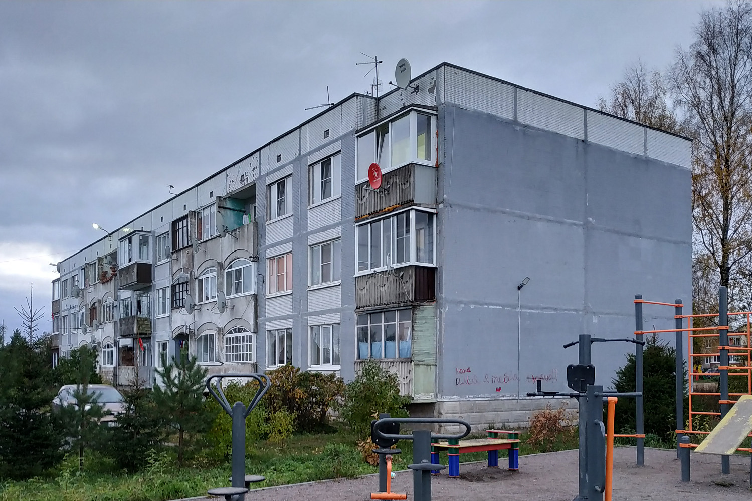 Всеволожский район, прочие н. п., Вартемяги, Пионерская улица, 3