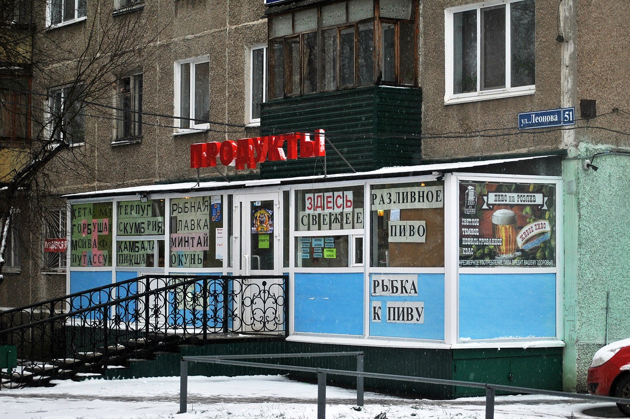 Пермь, Улица Космонавта Леонова, 51