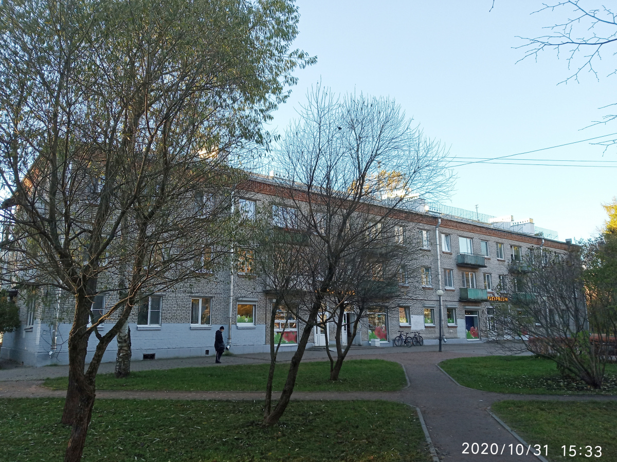 Зеленогорск, Проспект Ленина, 24