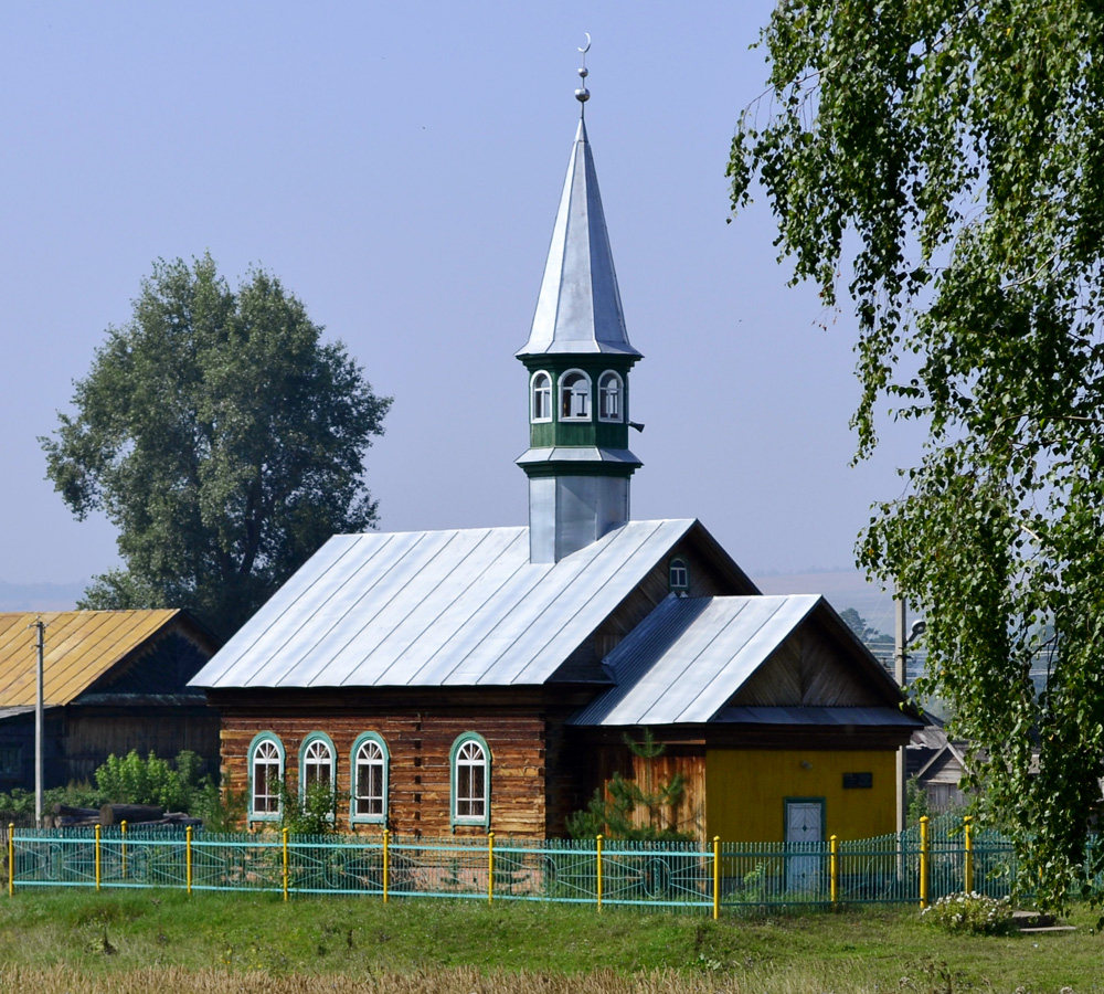 Кукморский район, прочие н. п., с. Лубяны, Парковая улица, 25