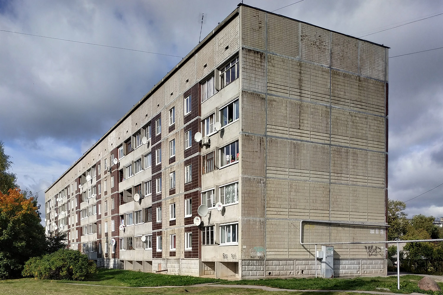 Волосово, Улица Фёдора Афанасьева, 14
