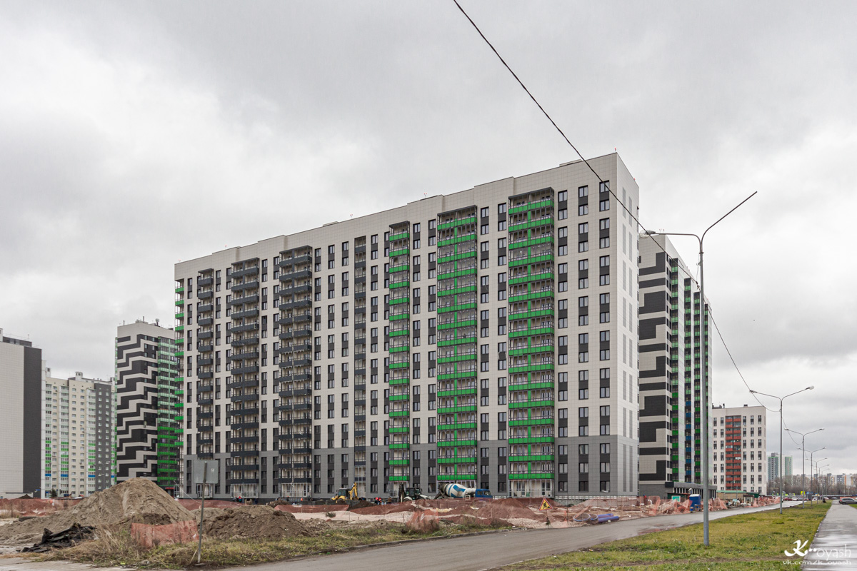 Казань, Улица Александра Курынова, 10 корп. 2
