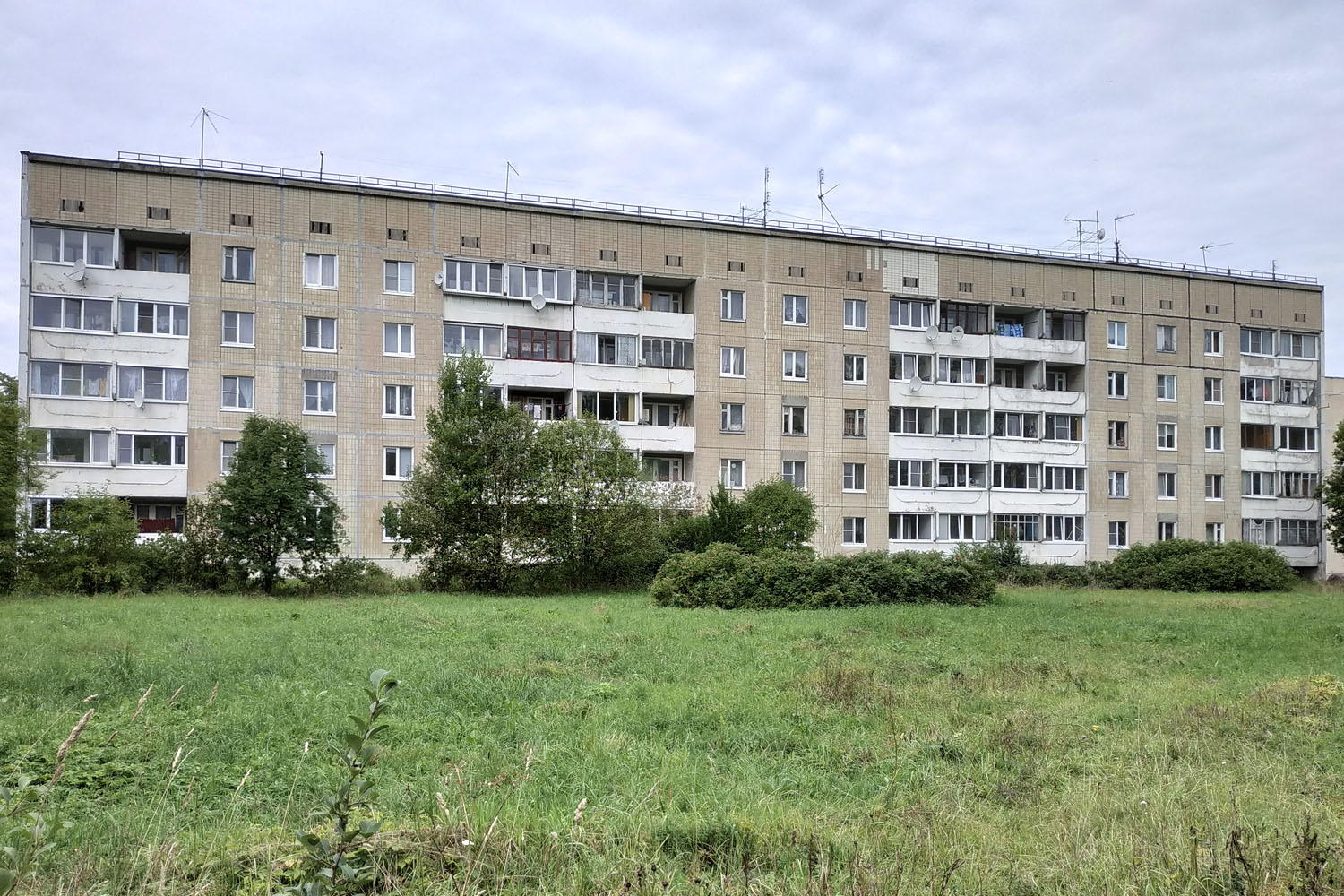 Гатчинский округ, прочие н. п., Сяськелево, 16