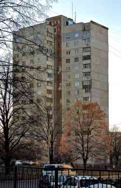 393 КБ