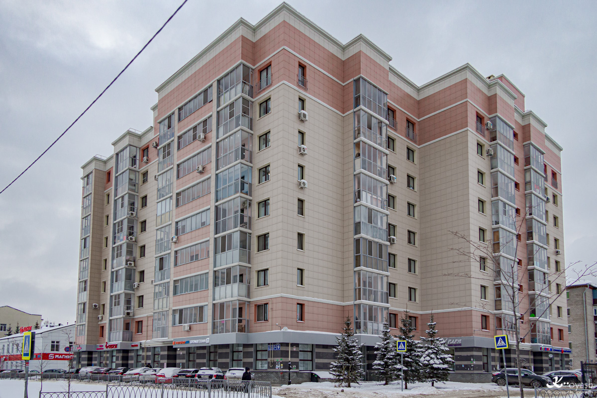 Казань, Улица Копылова, 9