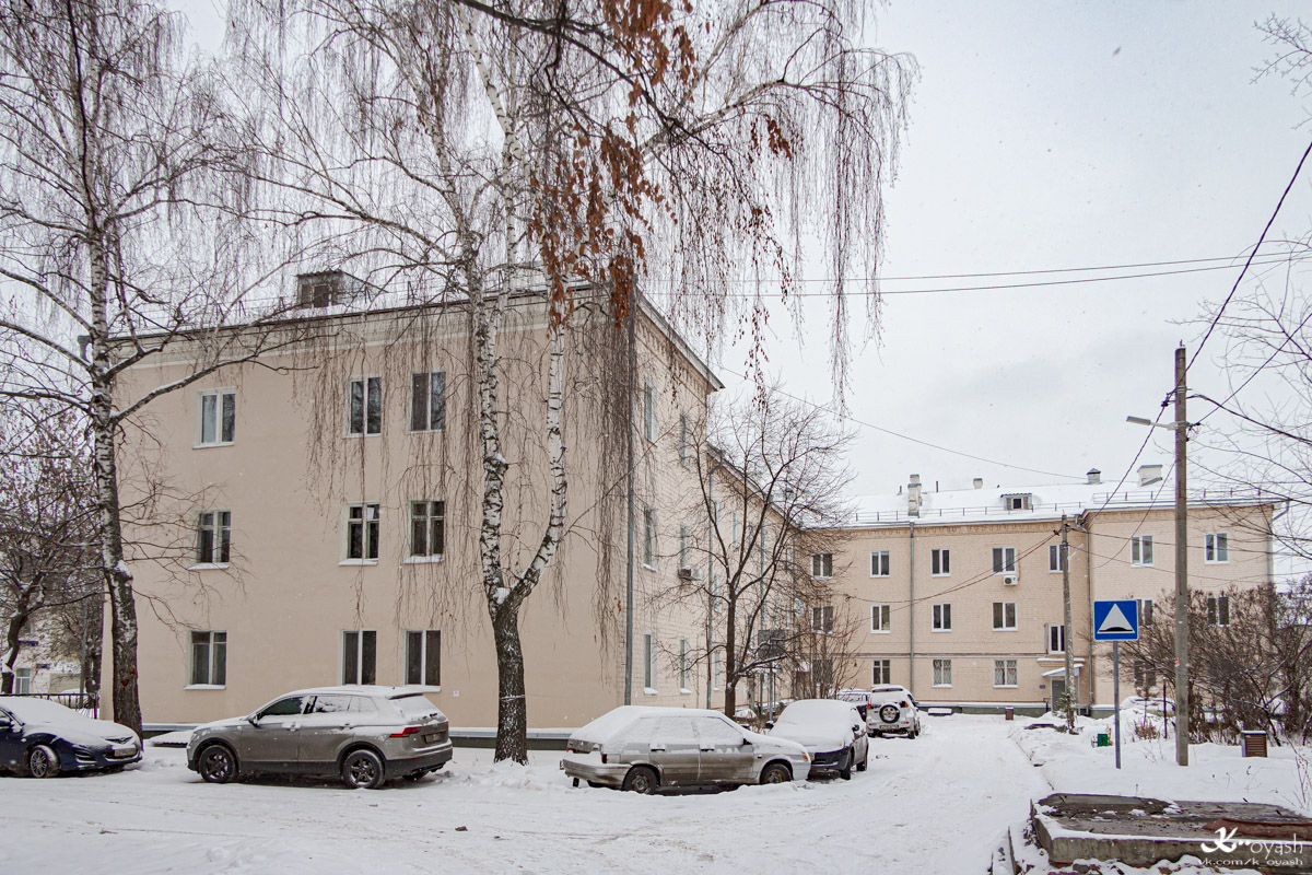 Казань, Улица Мира, 17 / Каштановая улица, 2