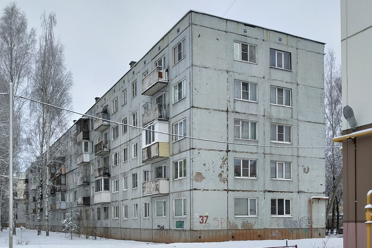 Гатчинский округ, прочие н. п., Новый Свет, 37