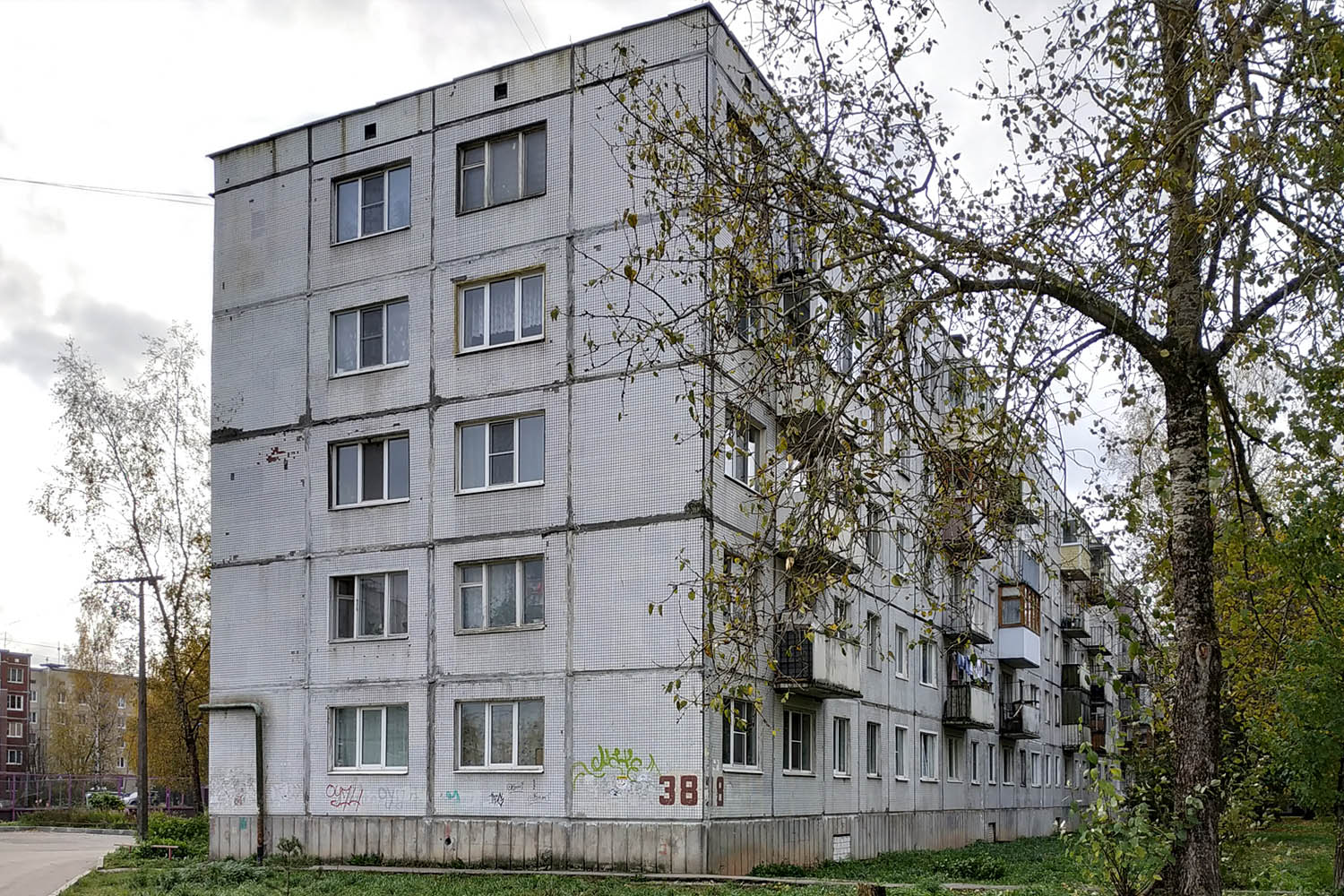 Гатчинский округ, прочие н. п., Новый Свет, 38