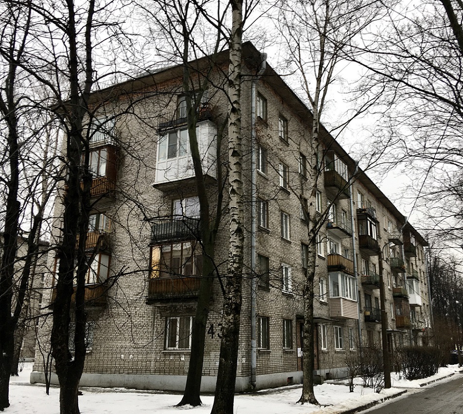 Санкт-Петербург, Дибуновская улица, 43