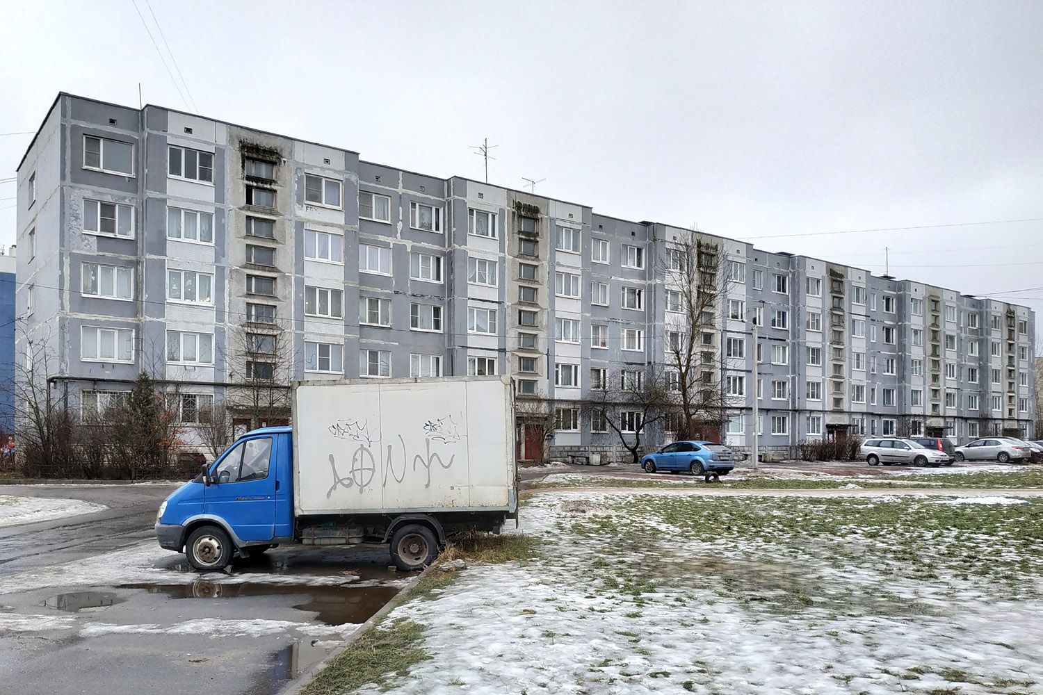 Ломоносовский район, прочие н. п., Горбунки, 22