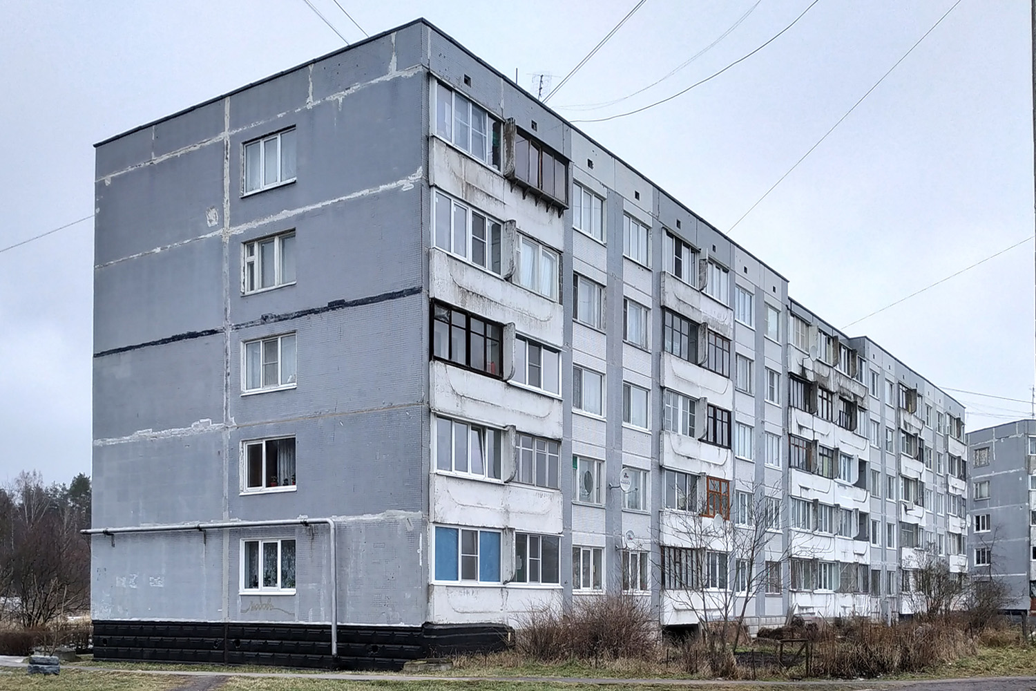 Ломоносовский район, прочие н. п., Горбунки, 26