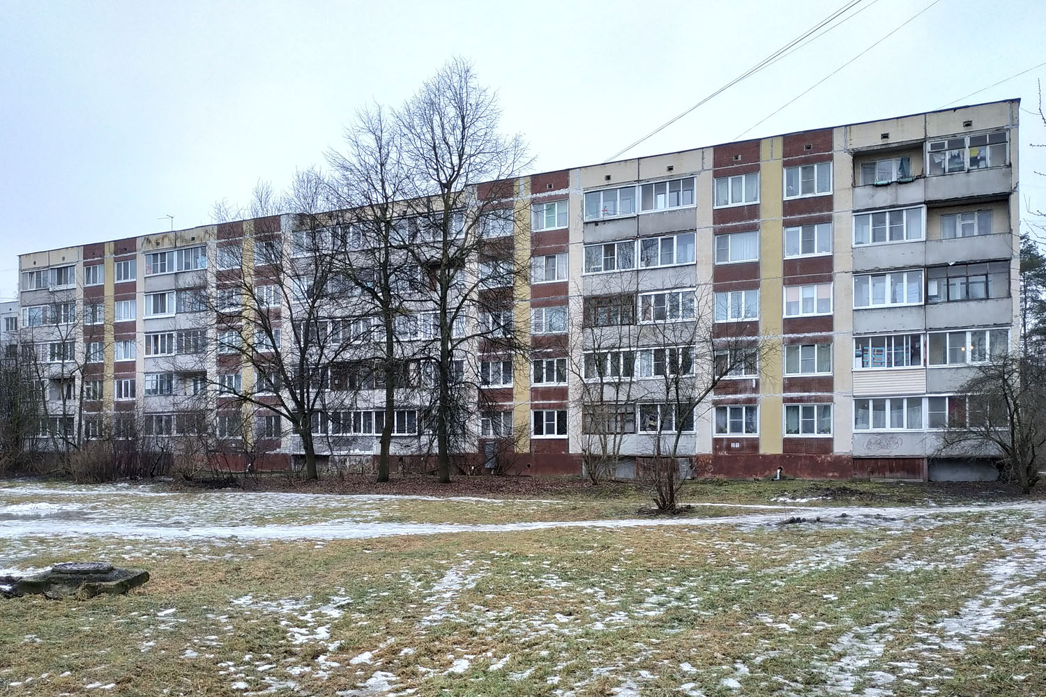 Ломоносовский район, прочие н. п., Горбунки, 11