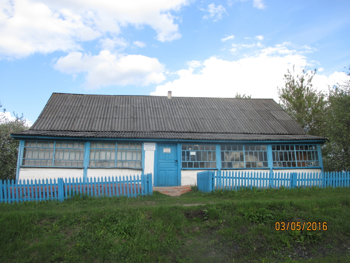 Беловский район, прочие н. п., Кривицкие Буды, улица Выгон, д. 29