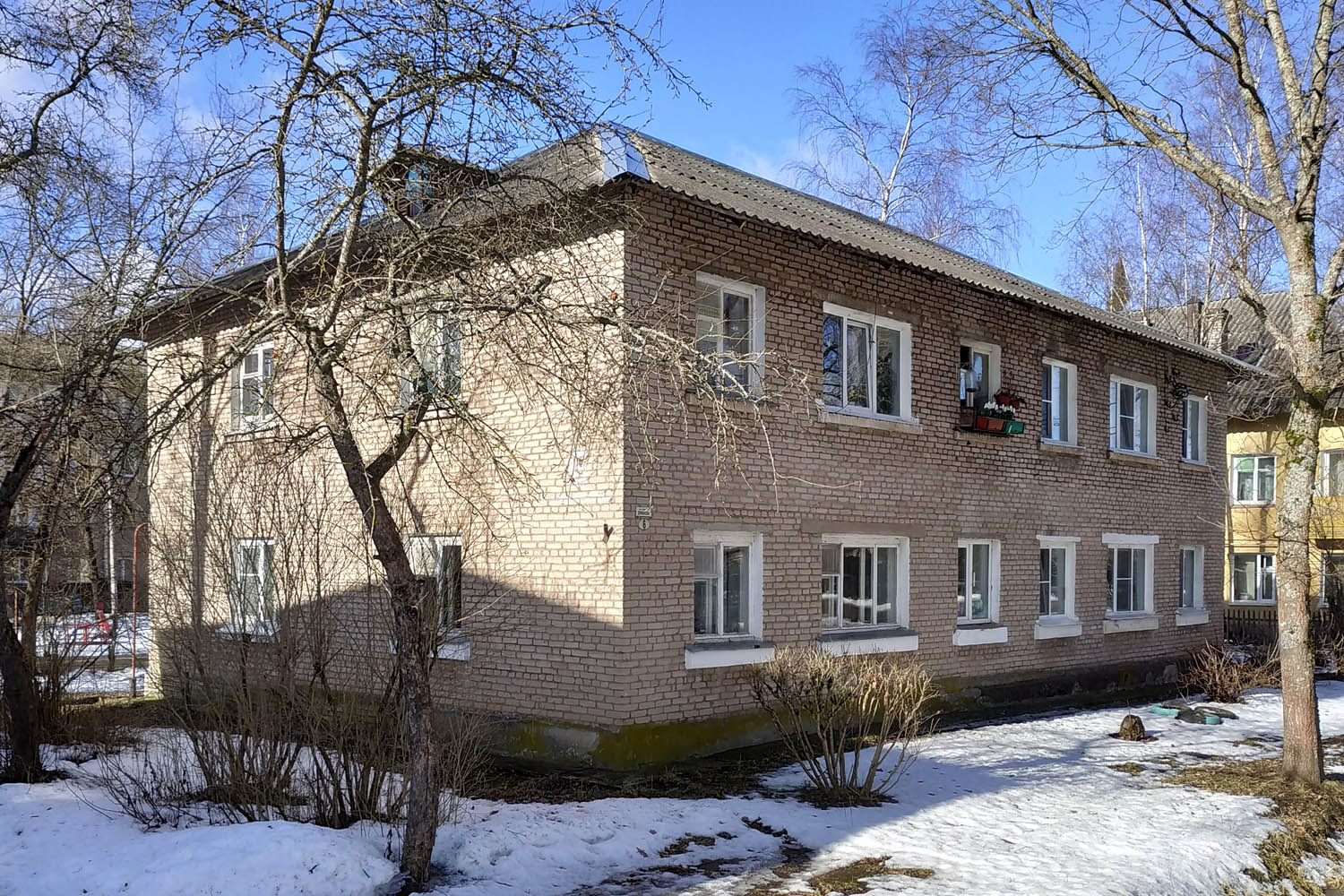 Дружная Горка, Улица Здравомыслова, 6