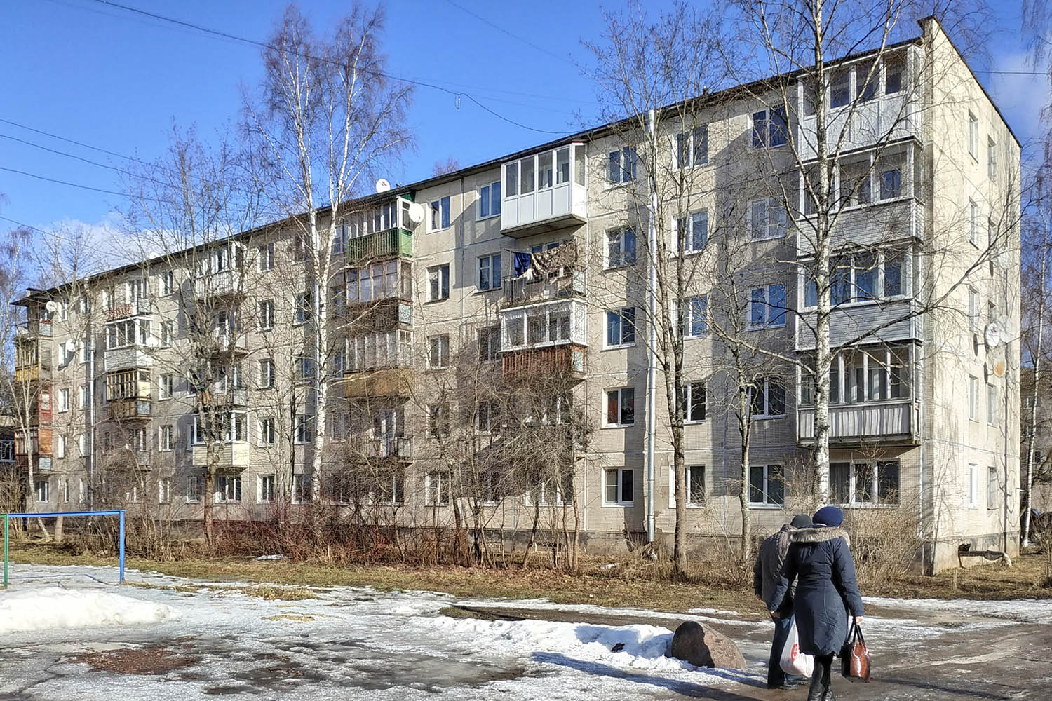 Дружная Горка, Улица Введенского, 14