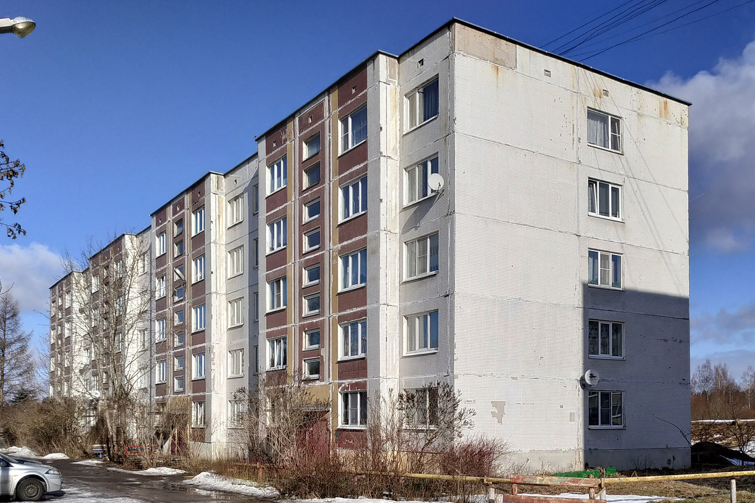 Дружная Горка, Улица Введенского, 19