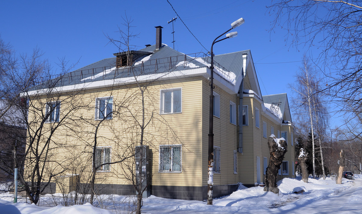 Омск, Улица Челюскинцев, 96