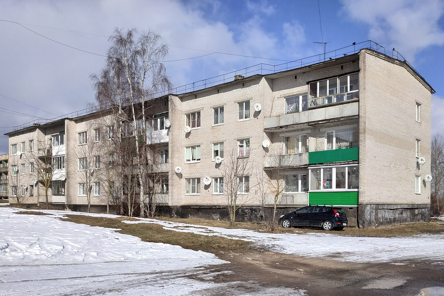 Кингисеппский район, прочие н. п., Ополье, 11