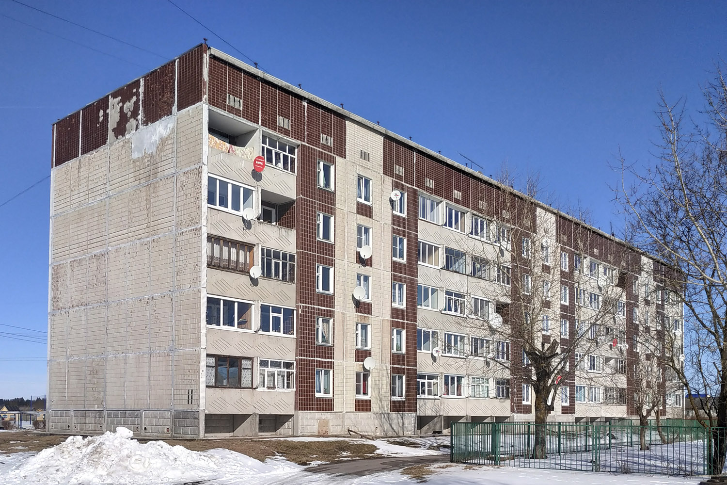 Волосовский район, прочие н. п., Большая Вруда, 11